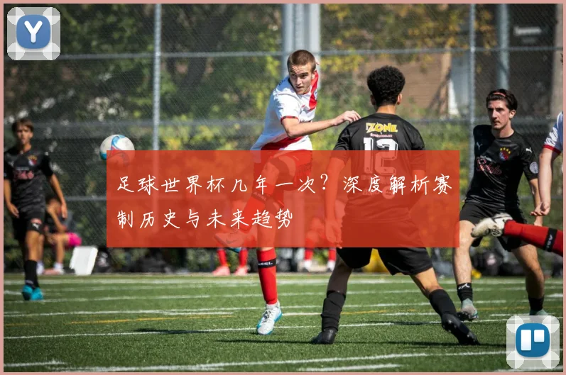 足球世界杯几年一次?深度解析赛制历史与未来趋势